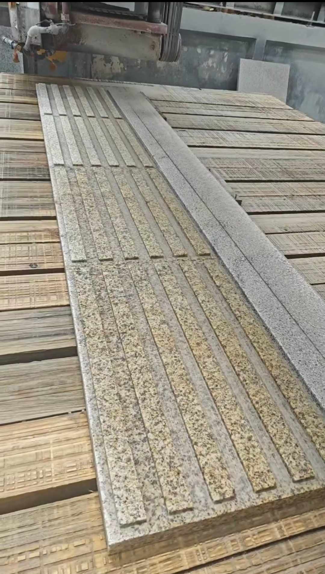 大连黄金麻盲道石 盲条